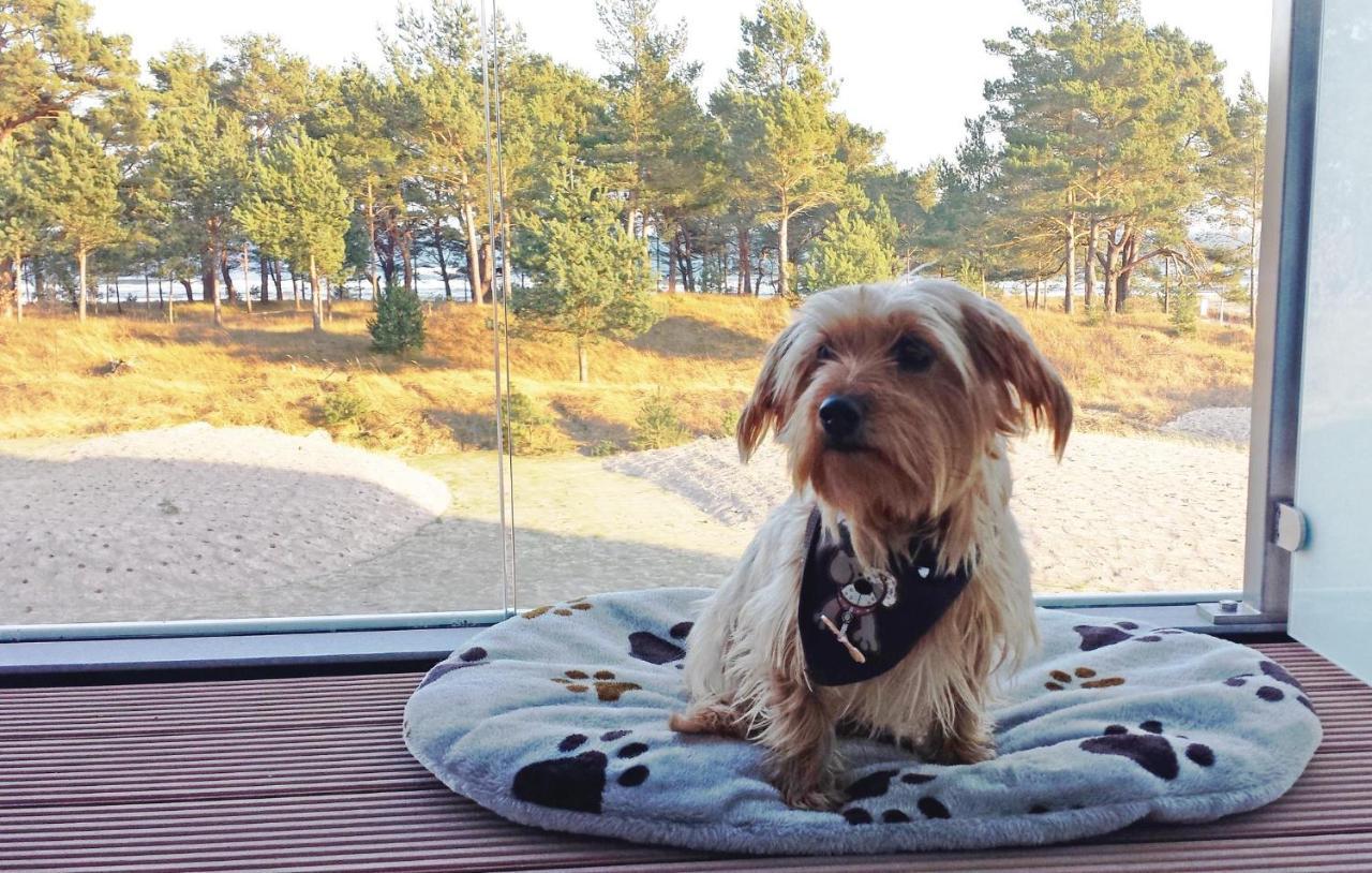 Princess Binz Eksteriør billede